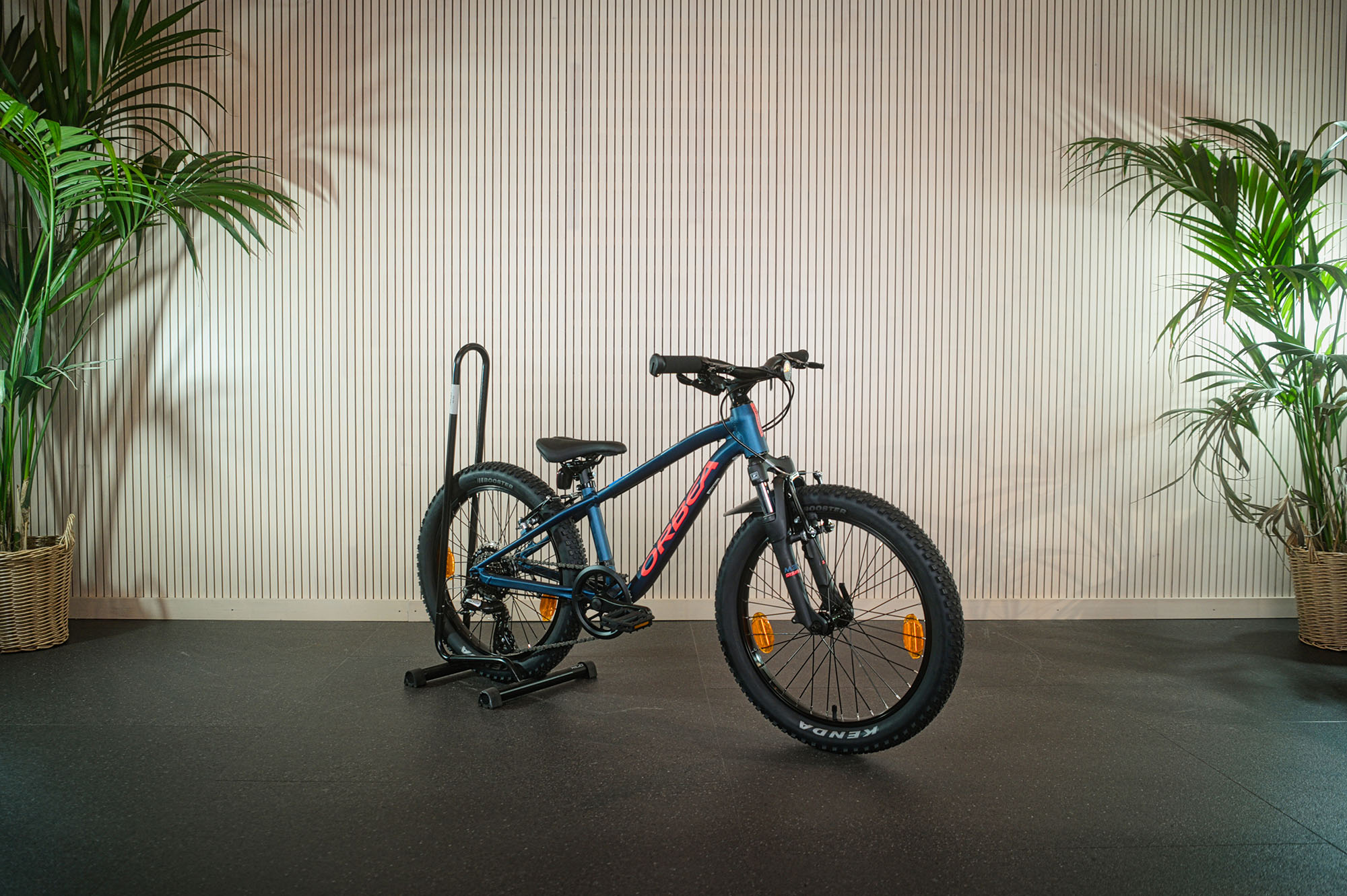 Orbea MTB