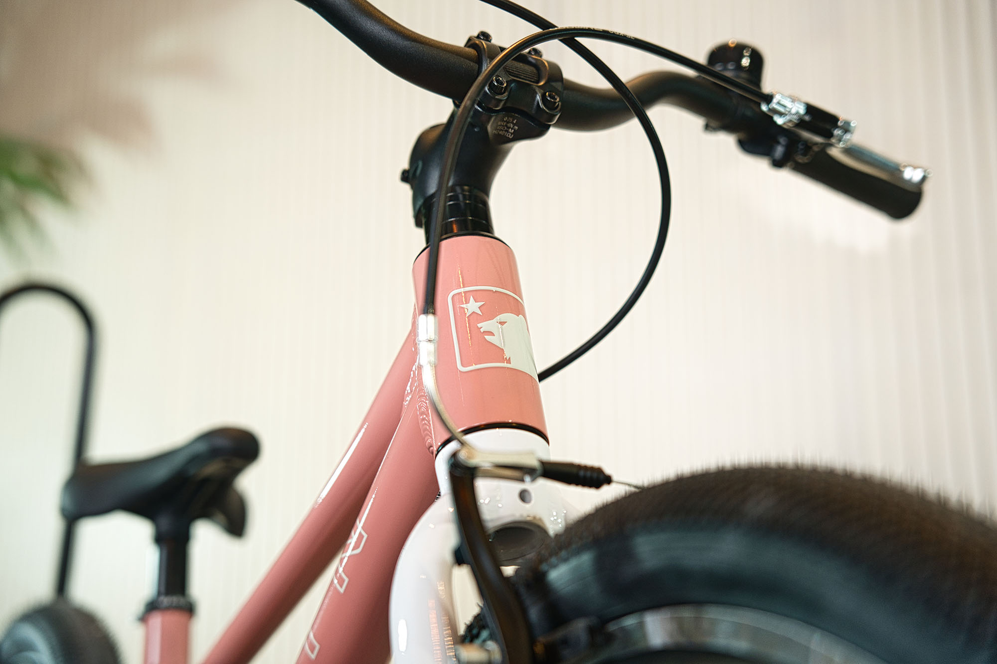 Orbea MTB Detail 1