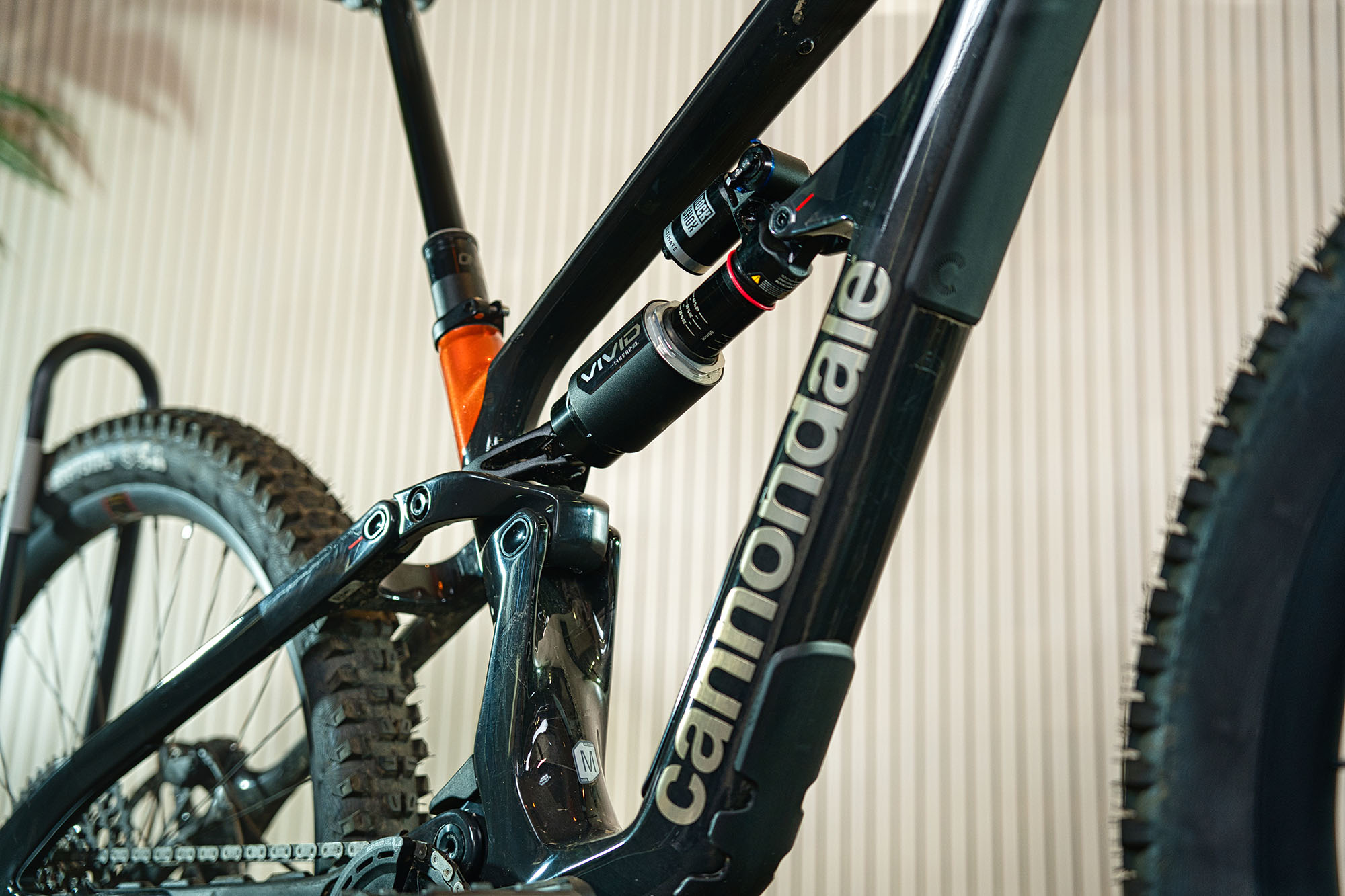 Cannondale MTB Detail 1