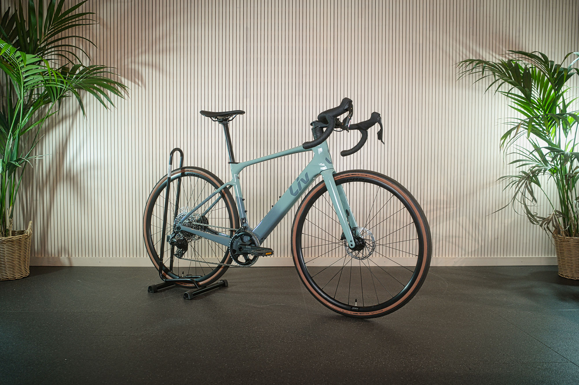 Orbea MTB