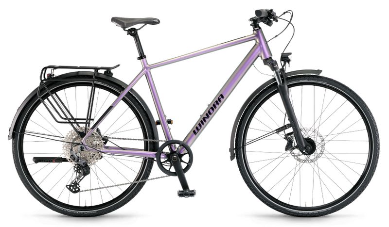 Winora Domingo X12 Pro 2025 Chameleon