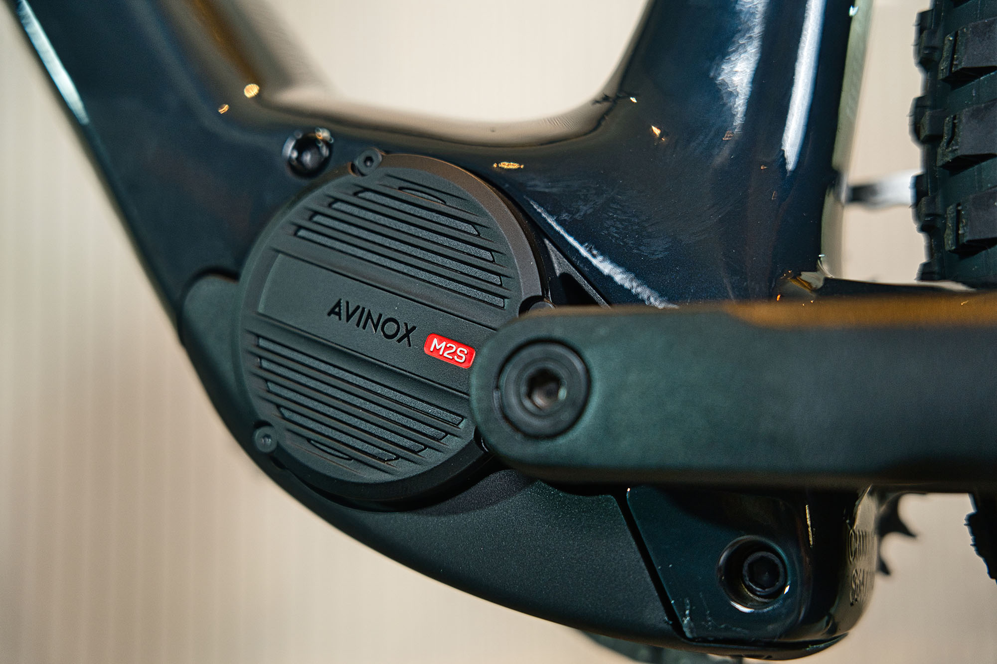Orbea MTB Detail 3