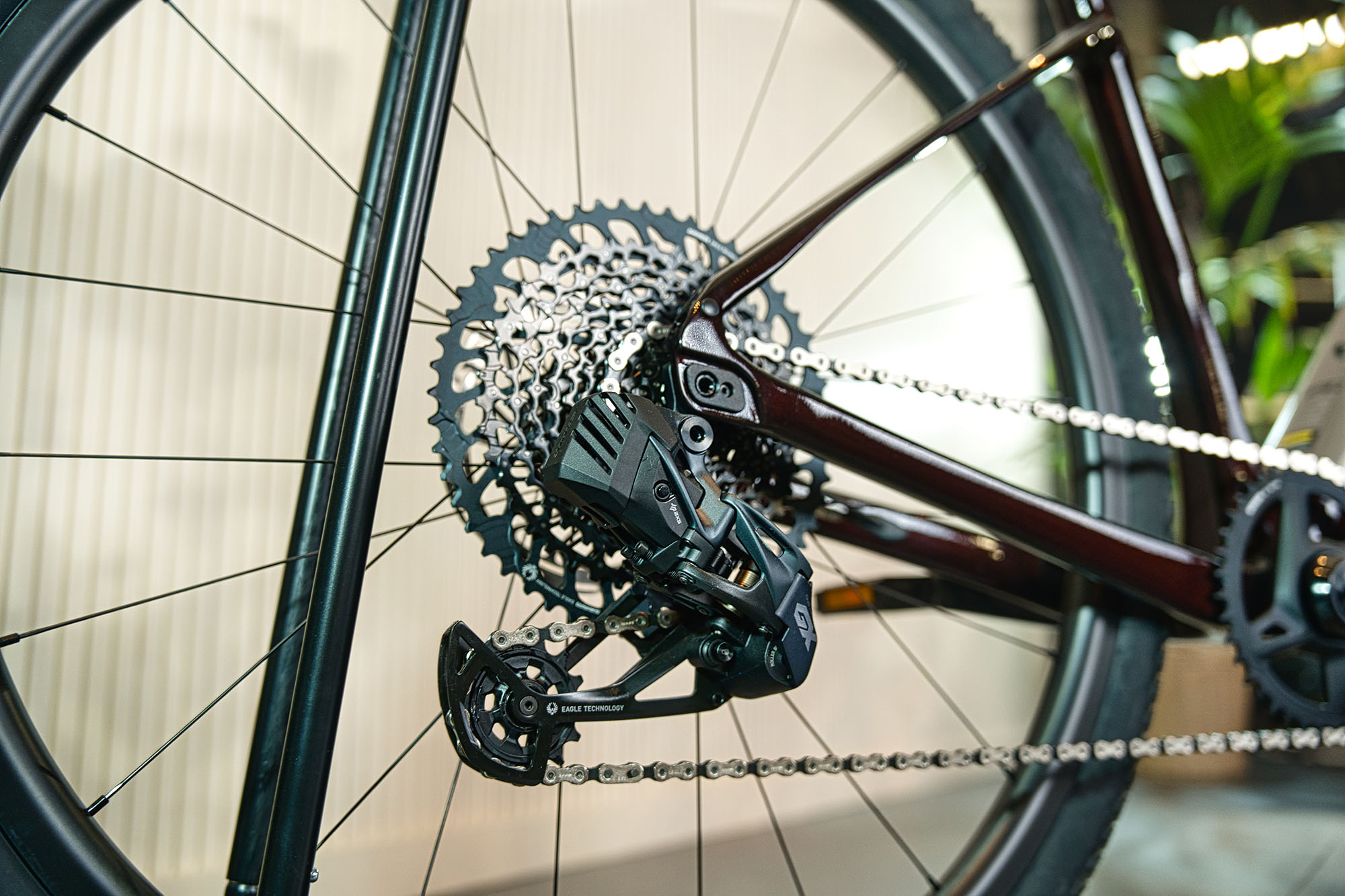 Orbea MTB Detail 1