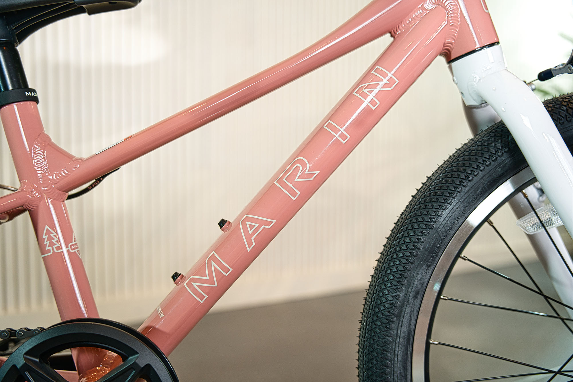 Orbea MTB Detail 2