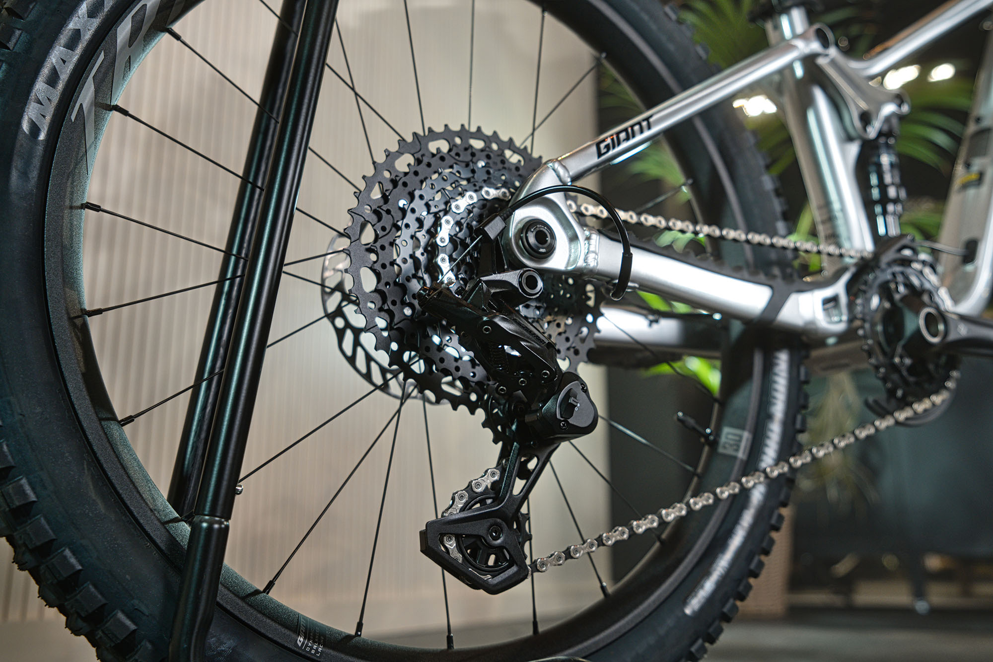 Orbea MTB Detail 1