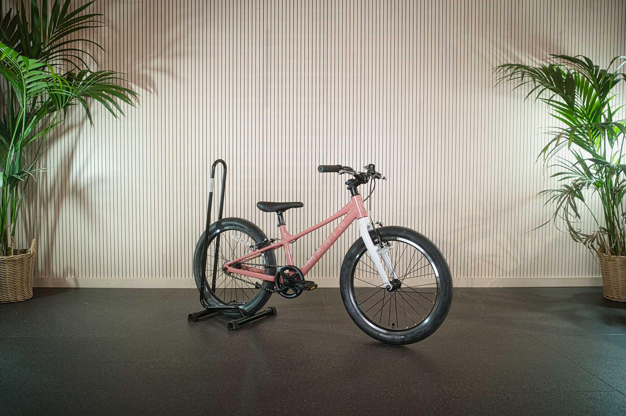 Orbea MTB
