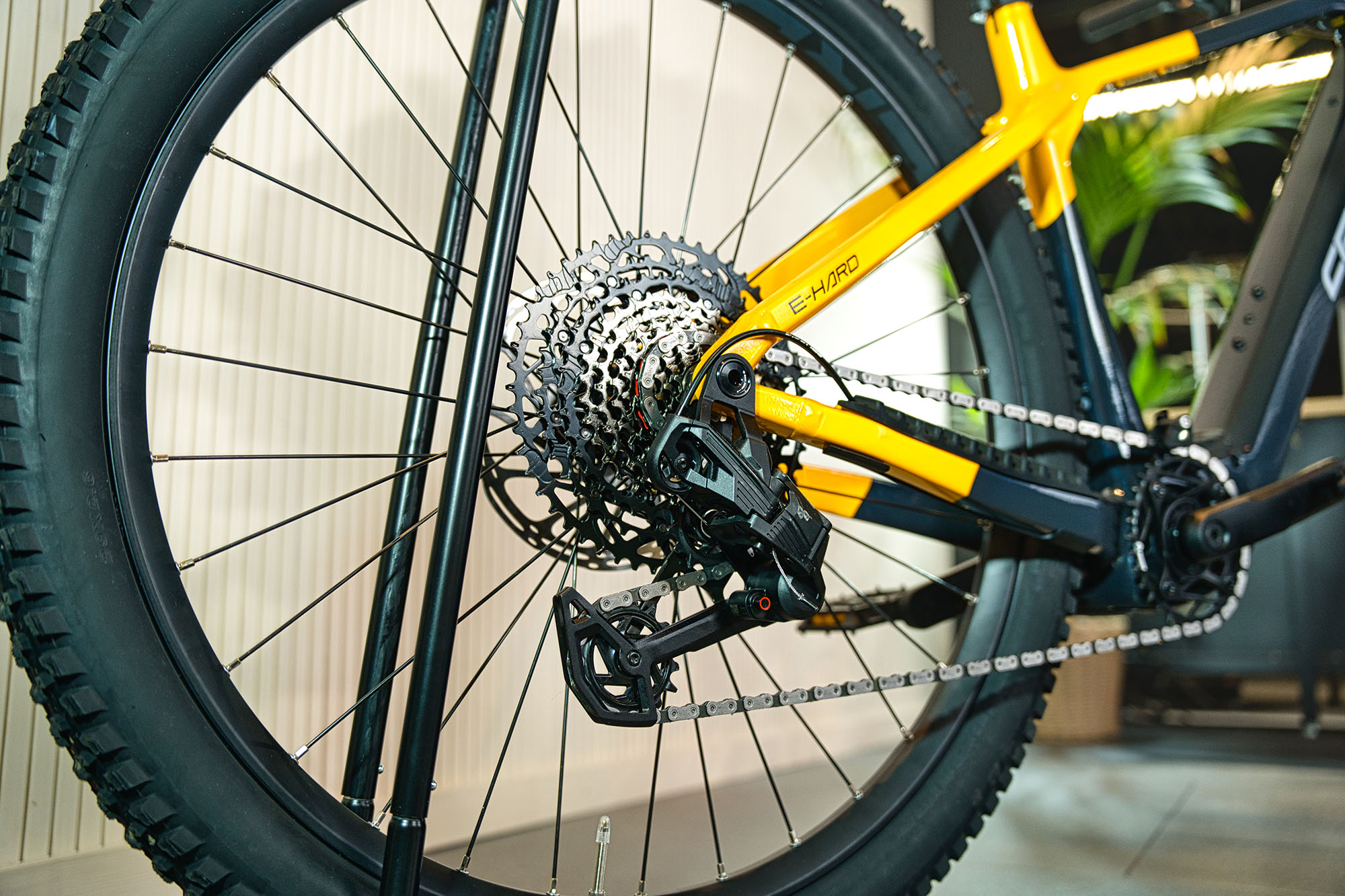 Orbea MTB Detail 2
