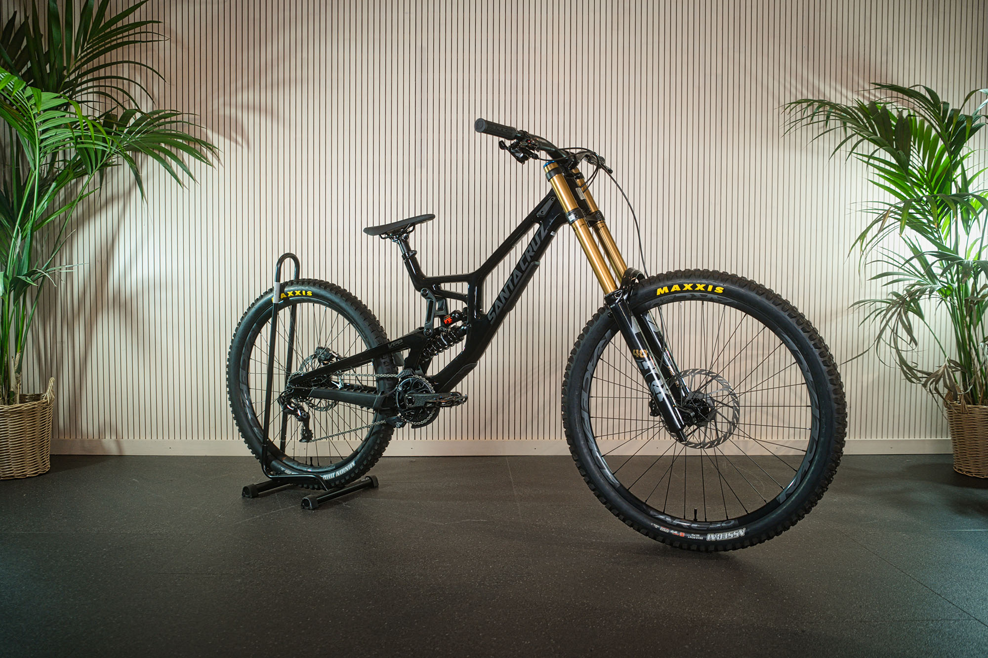 Orbea MTB