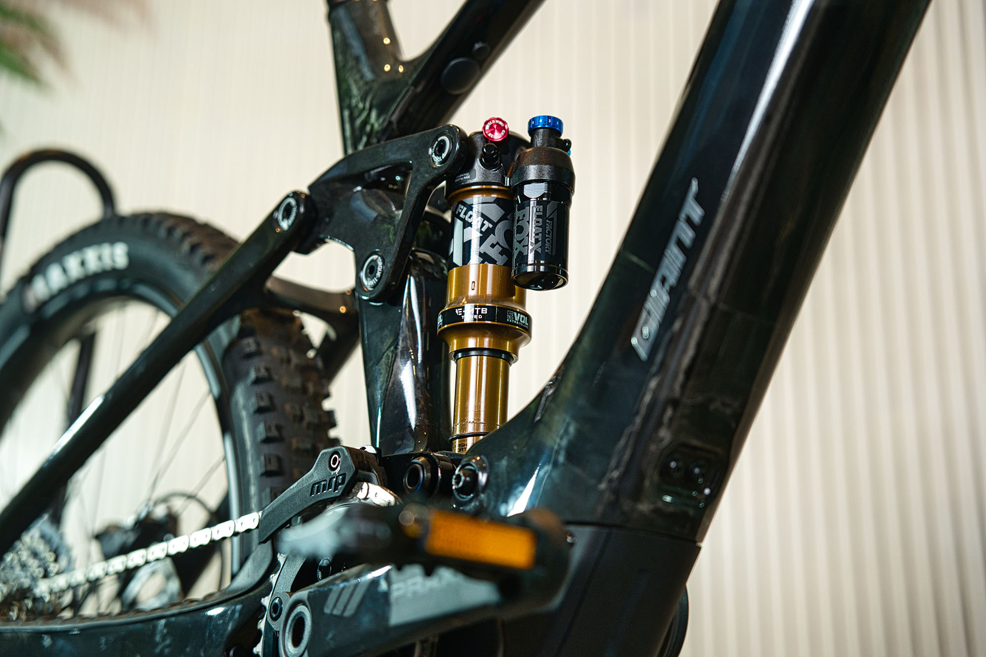 Orbea MTB Detail 2