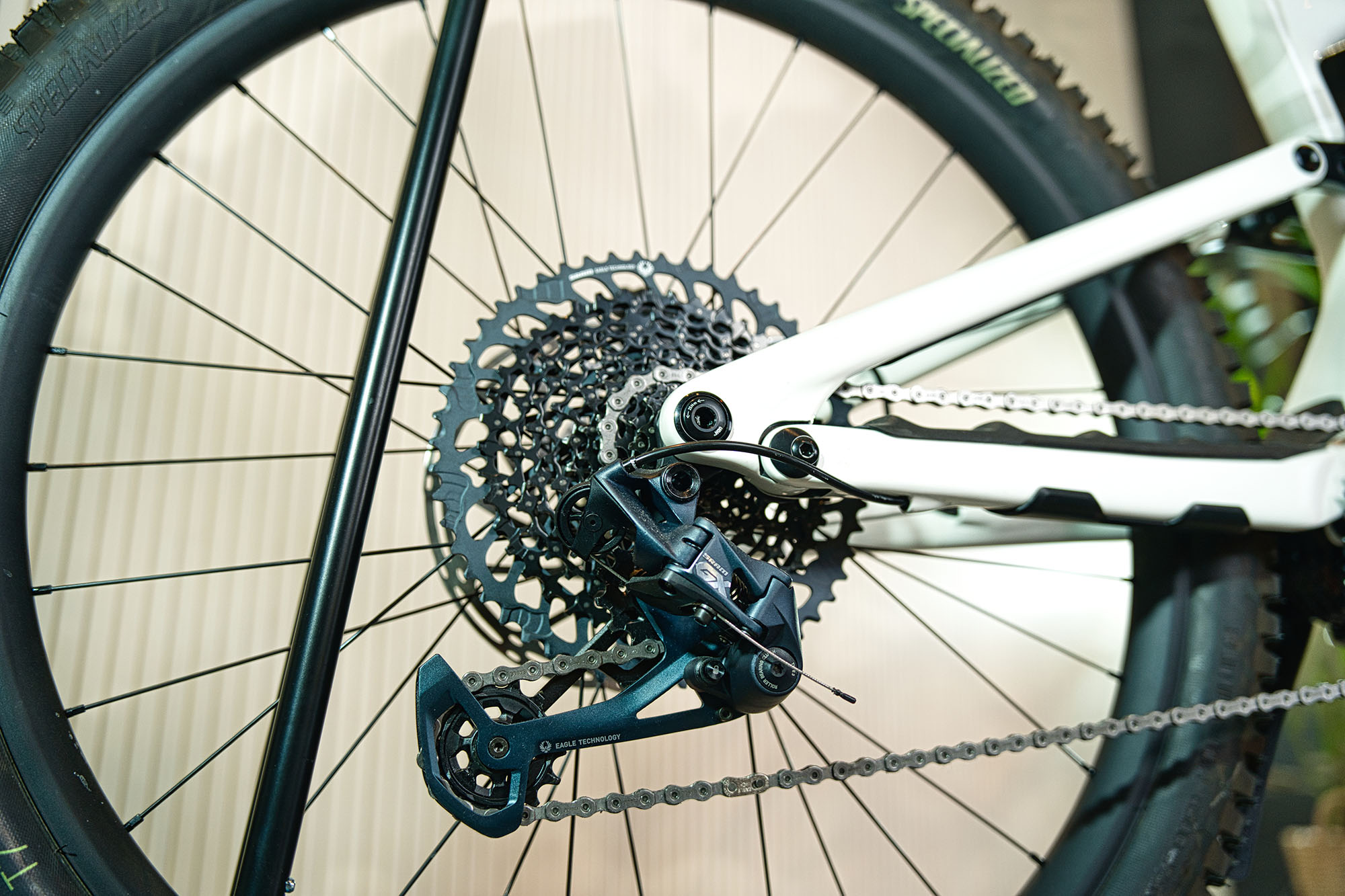 Orbea MTB Detail 3