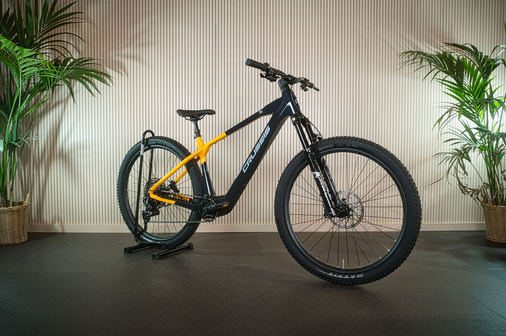Orbea MTB