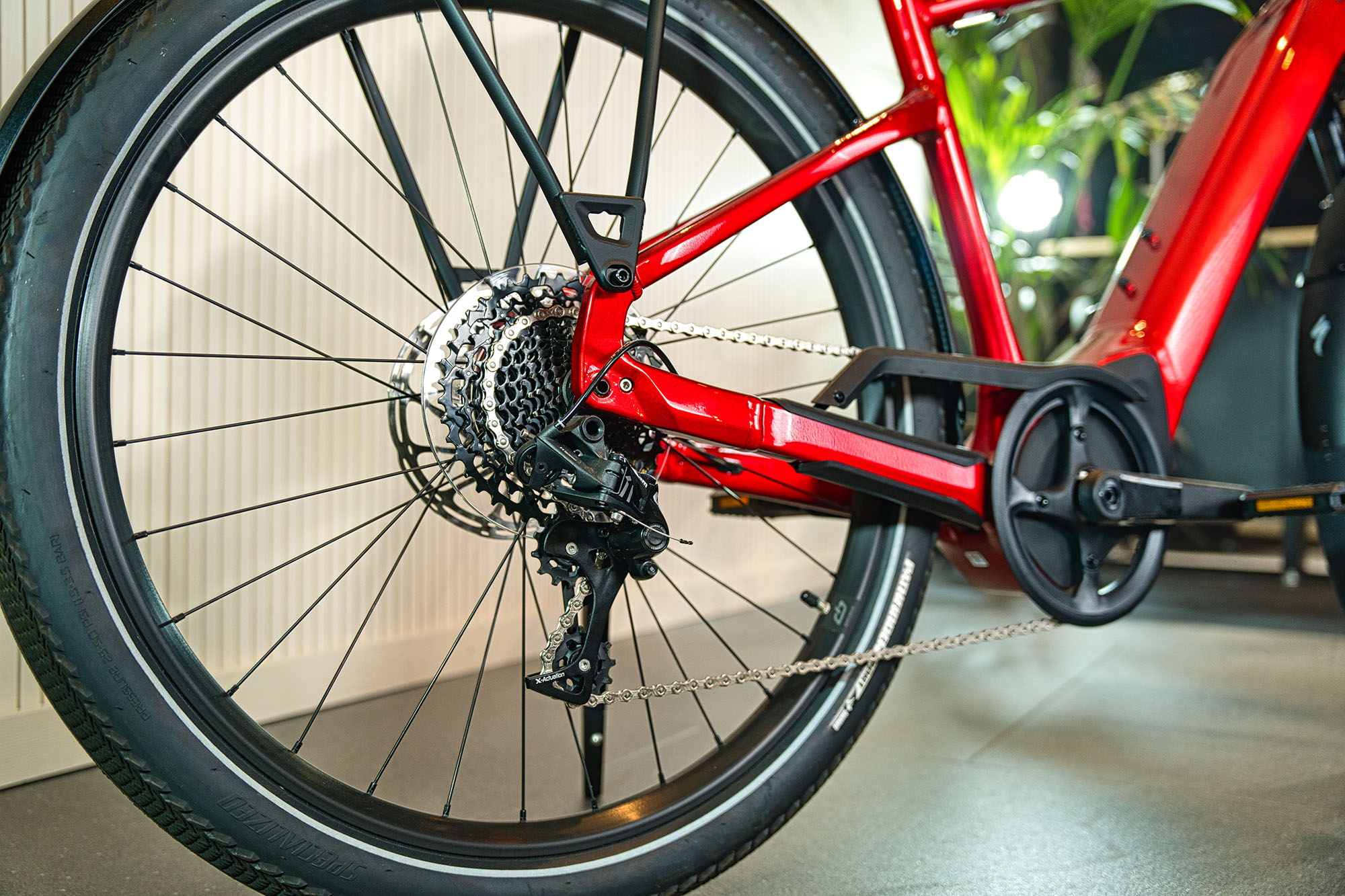 Orbea MTB Detail 2