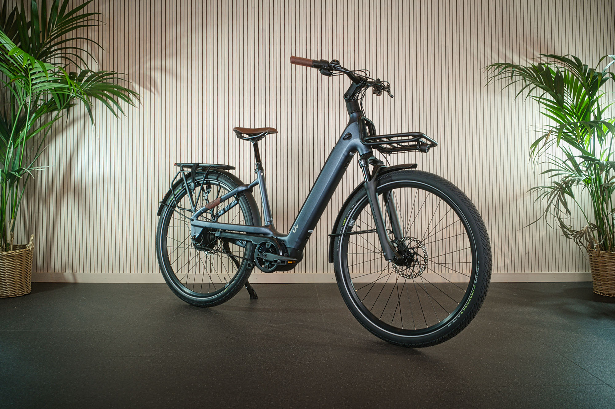 Orbea MTB