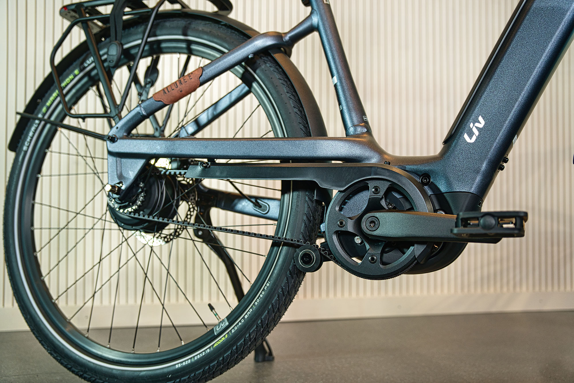 Orbea MTB Detail 1