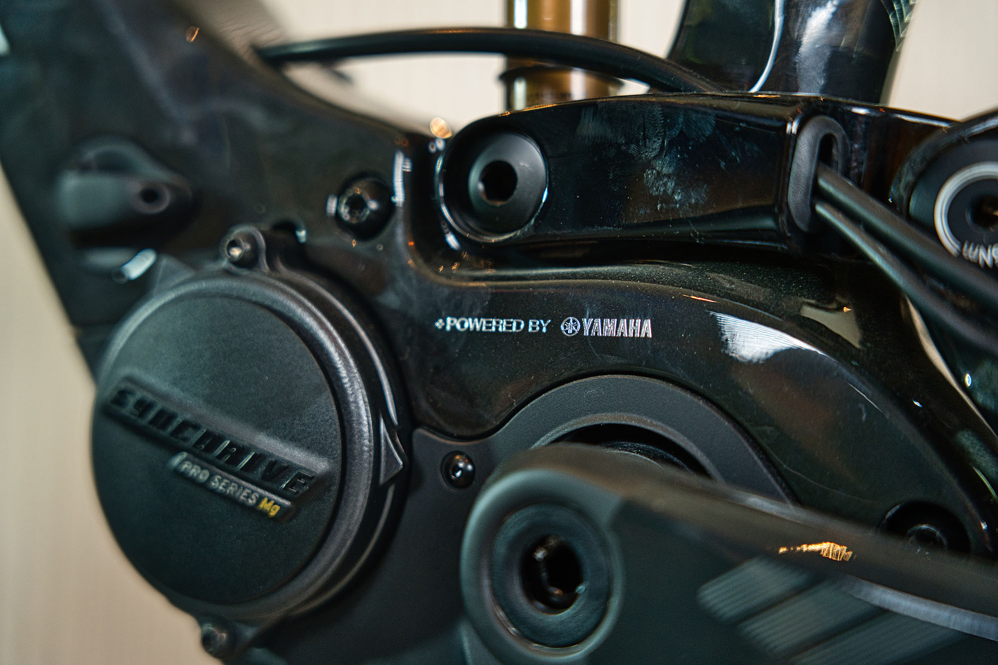 Orbea MTB Detail 3