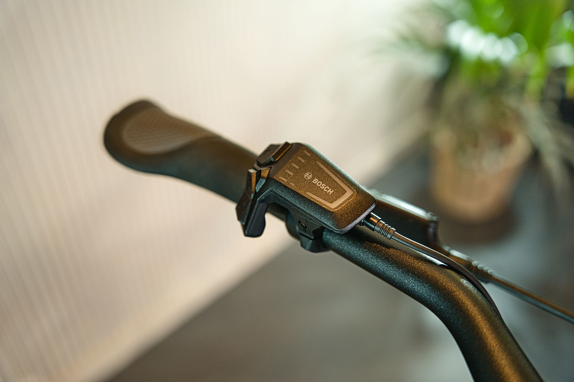 Orbea MTB Detail 3